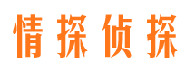 河北市侦探调查公司